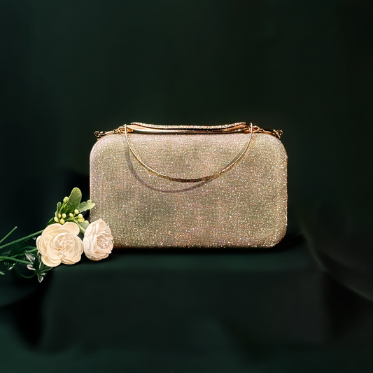 Pastel Green Champaign Glow Luxe Evening Clutch
